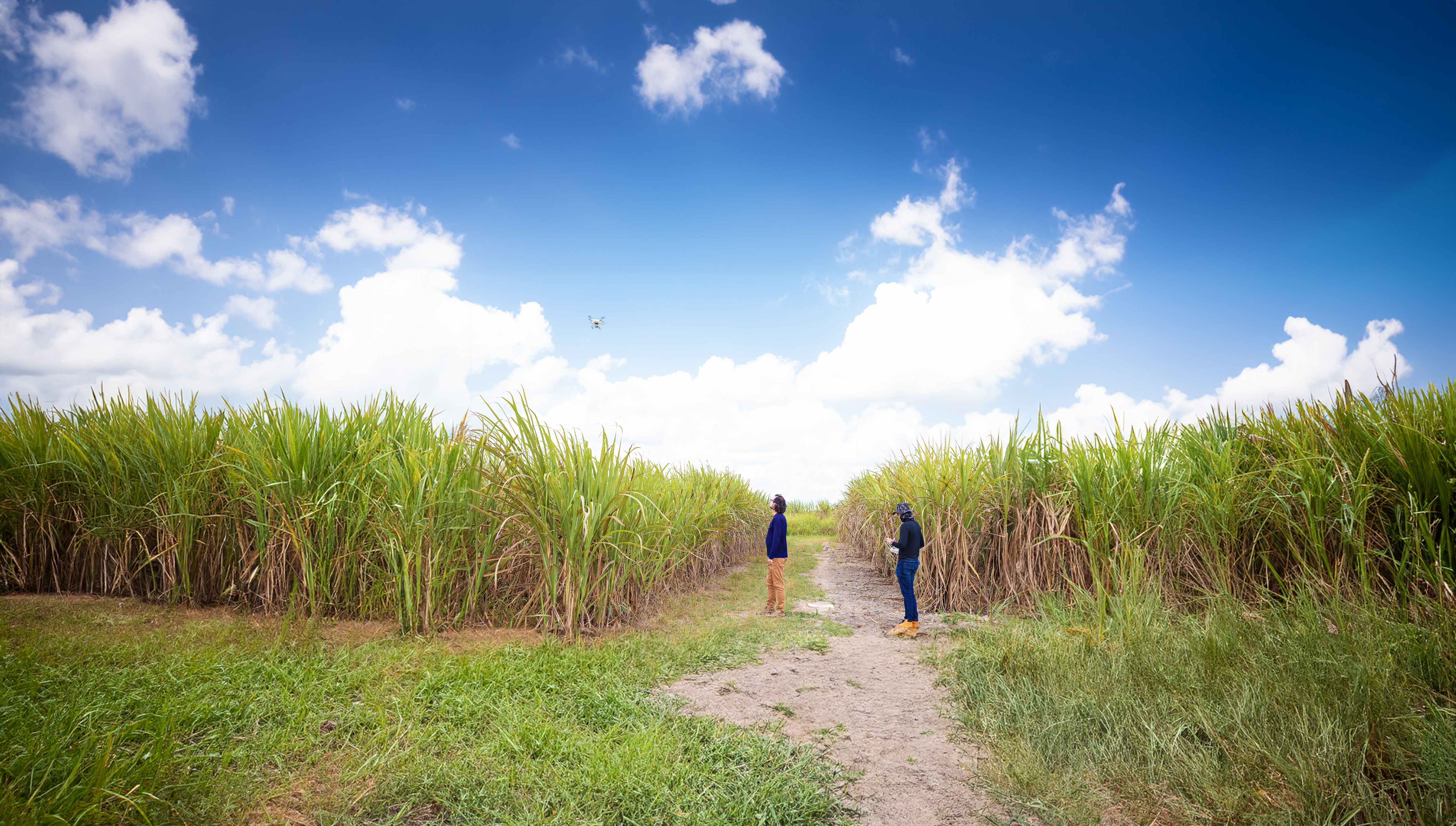 Você está visualizando atualmente Yathē Agritech é a única startup de Alagoas contemplada em edital da FINEP