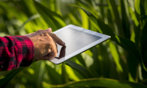 Alagoas avança na modernização com a agricultura de precisão